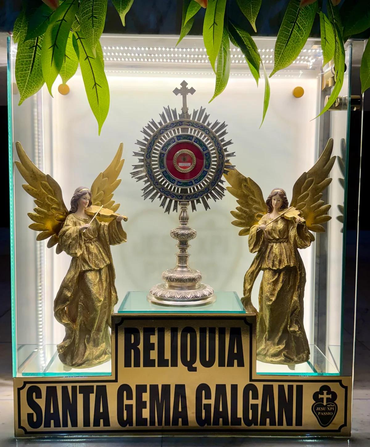 Relicario de Santa Gema Galgani en una vitrina iluminada, entre dos figuras de ángeles